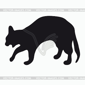 Silhouette of cat - vector clipart