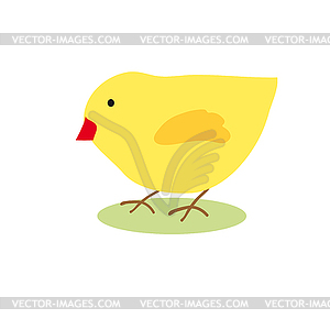 Image chicken - vector clipart