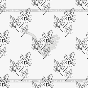 Pattern of contours of leaves - vector image