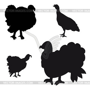 Collection of silhouettes of turkeys - vector clipart