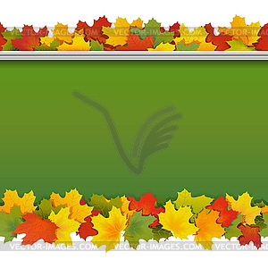 School Blackboard with Maple Leaves - vector clipart