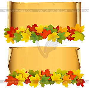 Scroll with Autumn Leaves - vector image