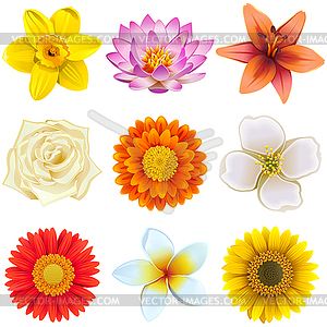 Flower Icons Set  - vector image