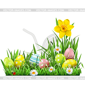 Easter Concept with Narcissus - vector clipart