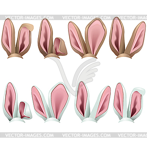 Rabbit Ears Icons - vector image