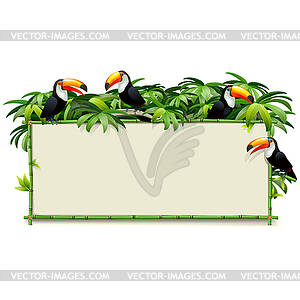 Green Bamboo Board with Toucans - vector clipart