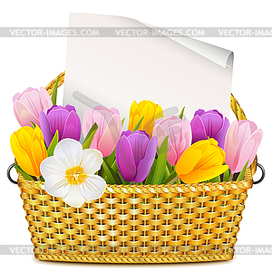 Basket with Tulips - royalty-free vector image