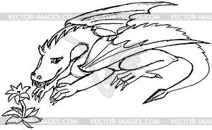 Outline drawing of a winged  dragon with a flower - vector image