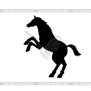 Horse silhouette - vector clip art