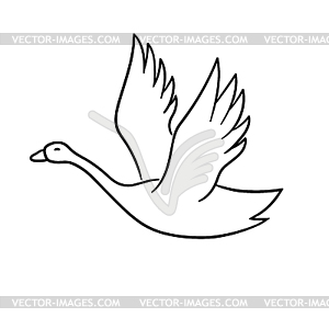 Swan - vector clip art