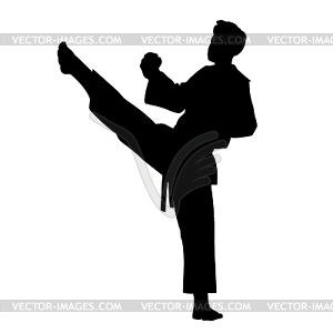 Karate fighter isolated - vector EPS clipart