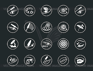 Graphic set. Icons. Cosmetology. Concept for Web - royalty-free vector image