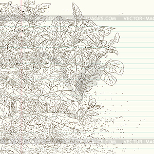 Grass sketch - vector clipart