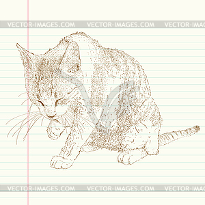 Cat grooming herself - vector image