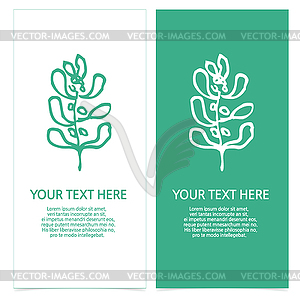 Set of brochures with abstract plants images - vector image