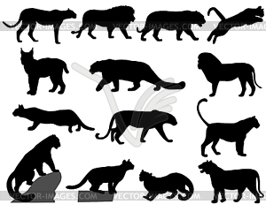 Wildcats - vector image