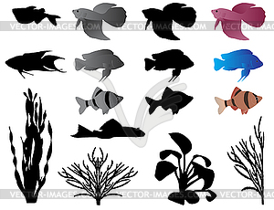 Aquarium - vector clip art