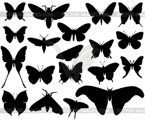 Butterfly - vector EPS clipart