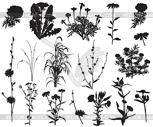 Flower - vector image