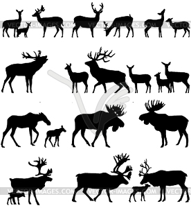 Deer family - vector clipart