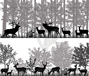 Herd of deer - vector clip art