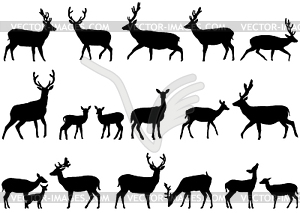 Deers - vector clipart