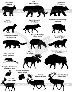 Silhouettes of animals of Eurasia  - white & black vector clipart