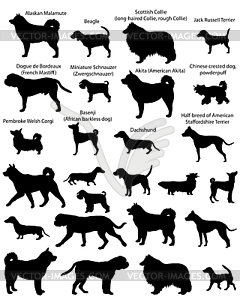 Dog show silhouettes - vector image