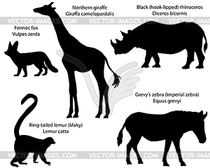 Силуэты животных Африки - изображение в векторе / векторный клипарт