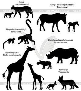 Silhouettes of animals of Africa with cubs - vector clip art