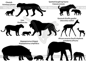 Silhouettes of animals of Africa with cubs - vector image