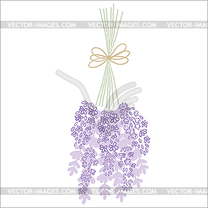 Свежесрезанный ароматный букет цветов лаванды - рисунок в векторном формате