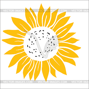 Sunflowers - vector image