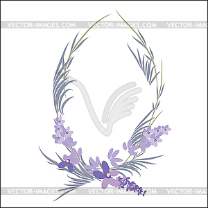 Fresh cut fragrant lavender plant flowers bunch - vector clipart