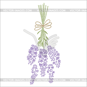 Fresh cut fragrant lavender plant flowers bunch - vector clipart