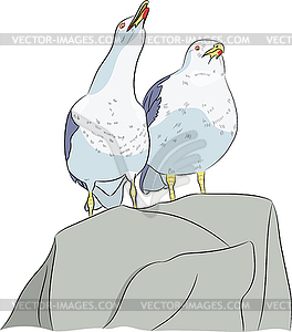 Two large sea gulls sitting on stone - vector clipart