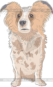 Little cute shaggy dog - vector clip art