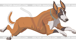 Large red hound dog in rapid jump - vector image
