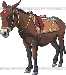 Drawing of domestic donkey  - vector clipart