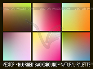 Set of abstract soft blurry background. Flower - vector image