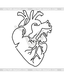 Heart icon . Line art and sketch of human heart. - vector image