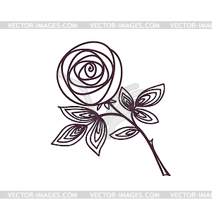 Rose. Stylized flower symbol. Outline hand drawing - vector image