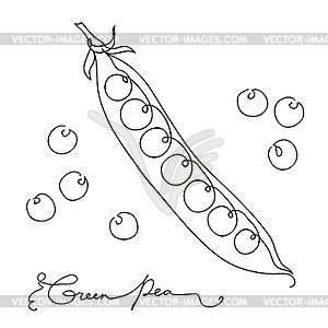 Sketch green peas. . Continuous line art. Outline - vector clipart