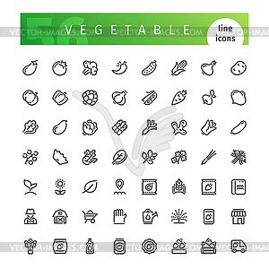 Vegetable Line Icons Set - stock vector clipart