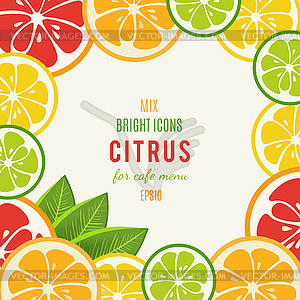 Grapefruit, lime, lemon and orange with mint leaves - vector image