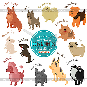 Dogs and puppies depicting different fur color and - vector image