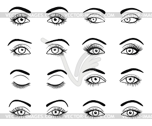 Set of female eyes and brows image with - vector clipart