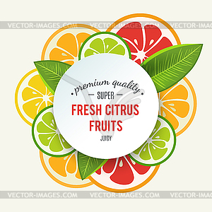 Banner with stylized citrus fruit and splashes - vector clipart