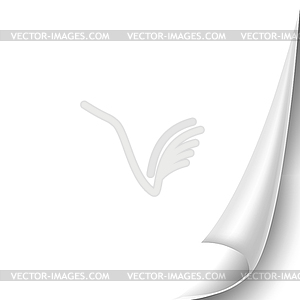 Blank sheet of paper with page curl and shadow, - vector image