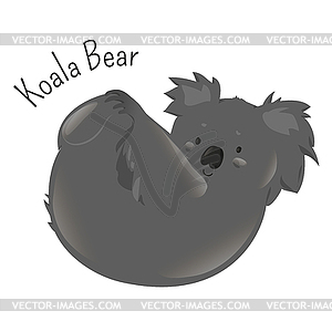 Koala bear - vector clipart